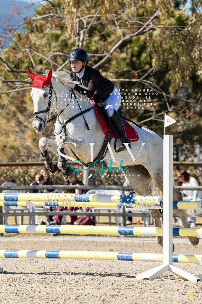 IMG_0592 | s-jay-photography - Realisiert mit Pictrs.com