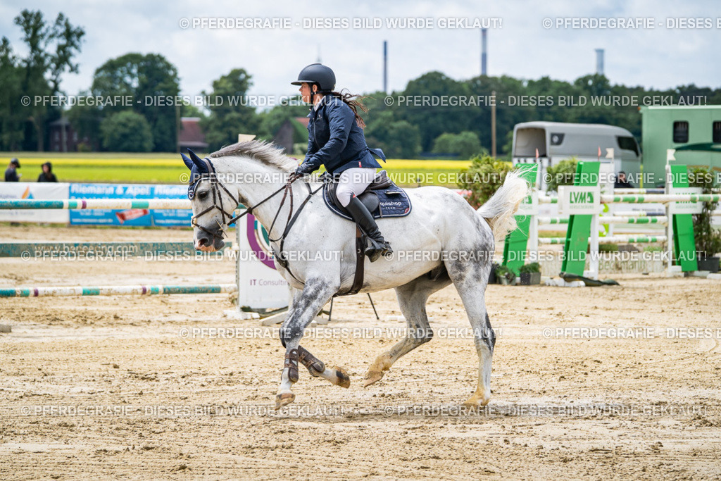 DSC04668 | Pferdegrafie