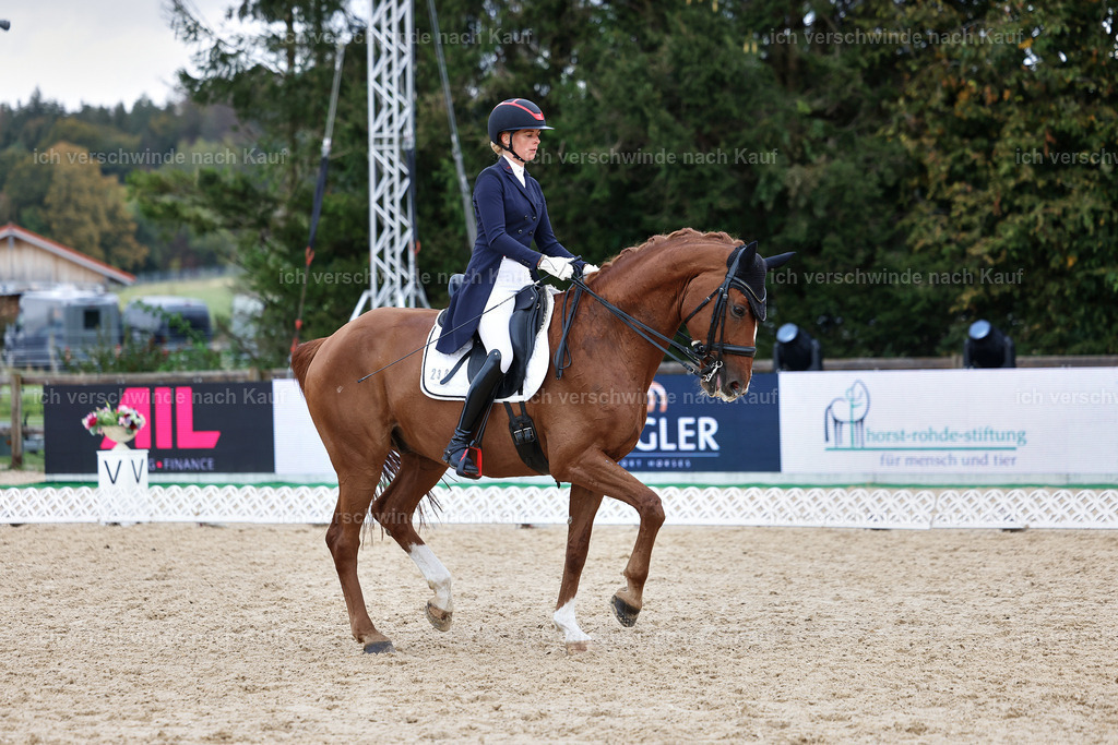 12-238-DRESSUR  S___  -StoibPH-5306 | working equitationturnier fotograf videograf stoibphotography marixx film working equitation deutschland reitsport turnierfotografie eventfotografie equestrian events
