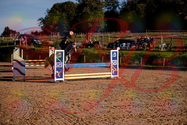 2026_10_03_Siefer-Hof_171433_Z81_11928331 | Professionelle Reitsport-, Turnier- und Eventfotografie von Robert Broda. Galerien mit ausgewählten und bearbeiteten Bildern direkt online ansehen und bestellen.