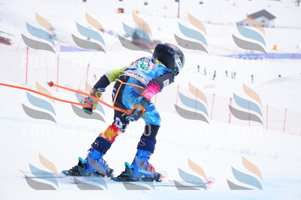 DSC_2221 | holidayphoto