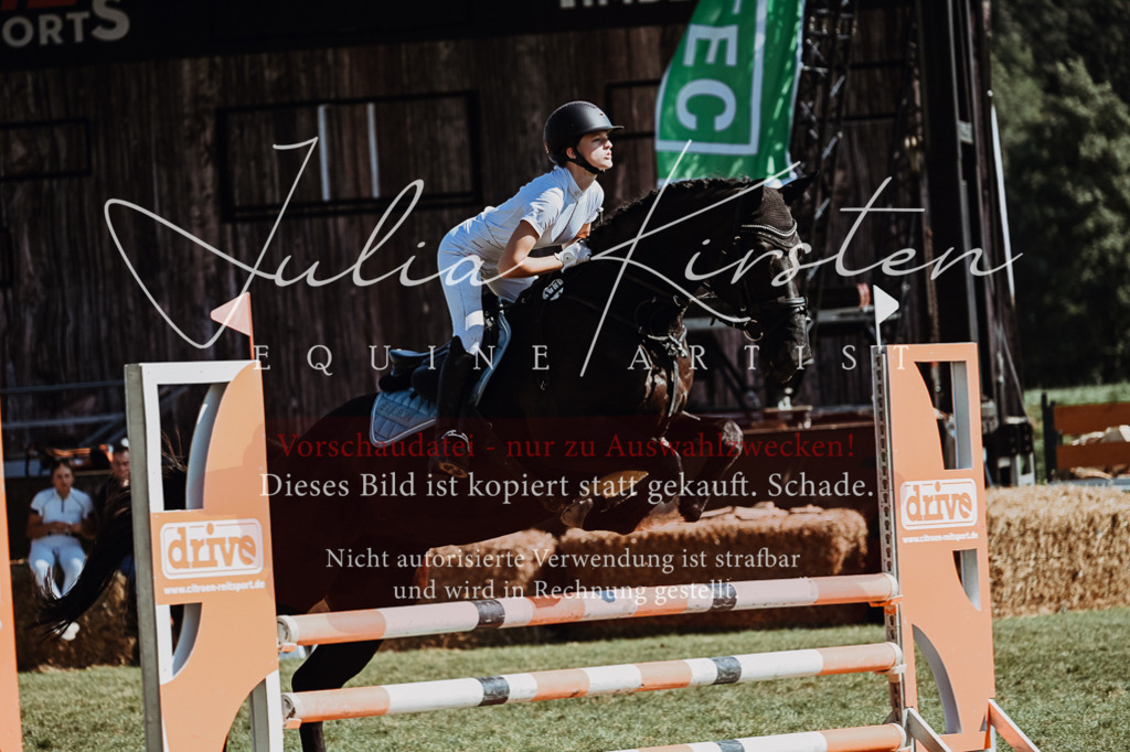 DSC_6683 | Pferde- und Turnierfotografie in Westsachsen. Pferdeportraits, Auftragszeichnungen und intuitive Kunst.