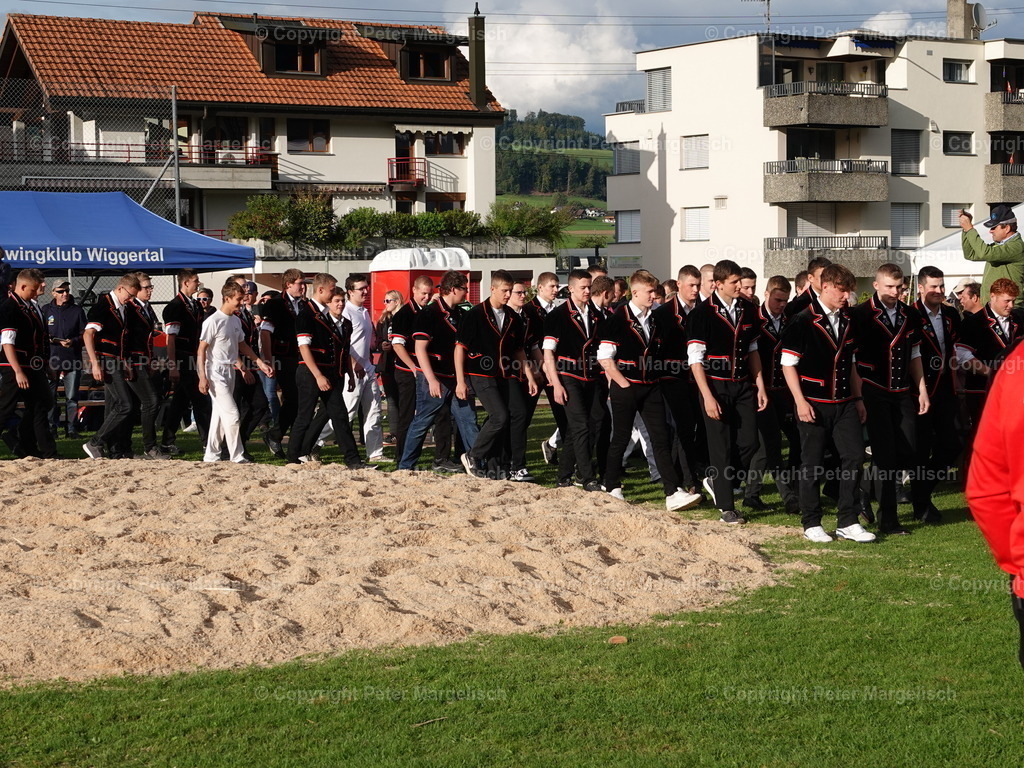 DSC05507 | Schwingen - Realisiert mit Pictrs.com