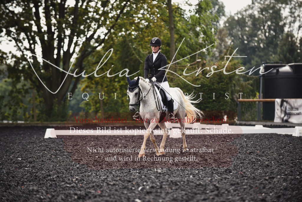 DSC_3965 | Pferde- und Turnierfotografie in Westsachsen. Pferdeportraits, Auftragszeichnungen und intuitive Kunst.