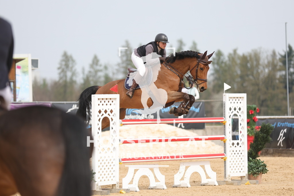 0P6A6872 | Willkommen bei Brunnmayr - Design & Fotografie – Ihrem Spezialisten für Reitturniere und Pferdeveranstaltungen in Oberösterreich, Salzburg und Bayern! Seit über 17 Jahren sind wir leidenschaftlich dabei.