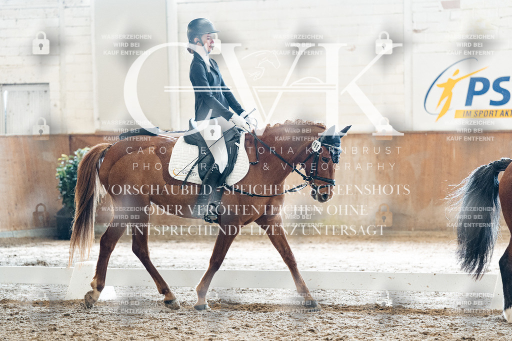 CK900390 | Turnierfotografie Pferdefotografie Trier Rheinland-Pfalz Pferdesport Reitsport Tierfotografie Sportfotografie Pferdevideo Pferdevideografie Equestrianvideography equestrianphotography  - Realized with Pictrs.com
