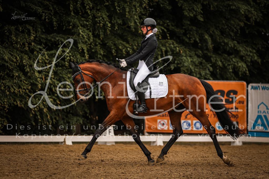 DoDrA200227 | Leoni Ertmer Photography - Realisiert mit Pictrs.com