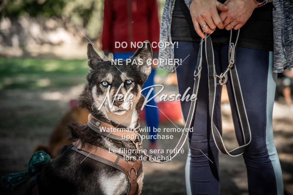 nelerasche_slaw24Sa_207 | nelerasche