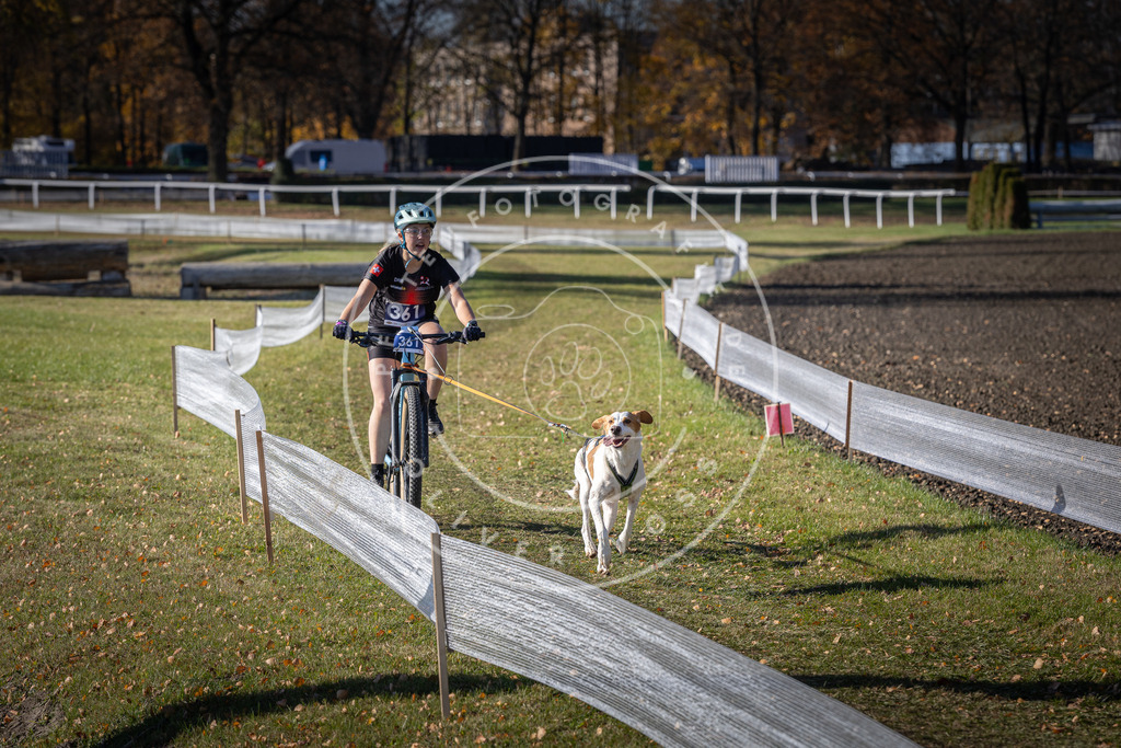 CaniXpix_DV3A7396 | Hundefotografie, Tierfotograf, Pfotenfotografie, Fotoshooting Hund, Hunde Portrait, Hundesport, Hundeportraits, Heideshooting, Hunde, Sportfotograf, Hundefotograf, Turnierhundsport, THS,  - Realisiert mit Pictrs.com