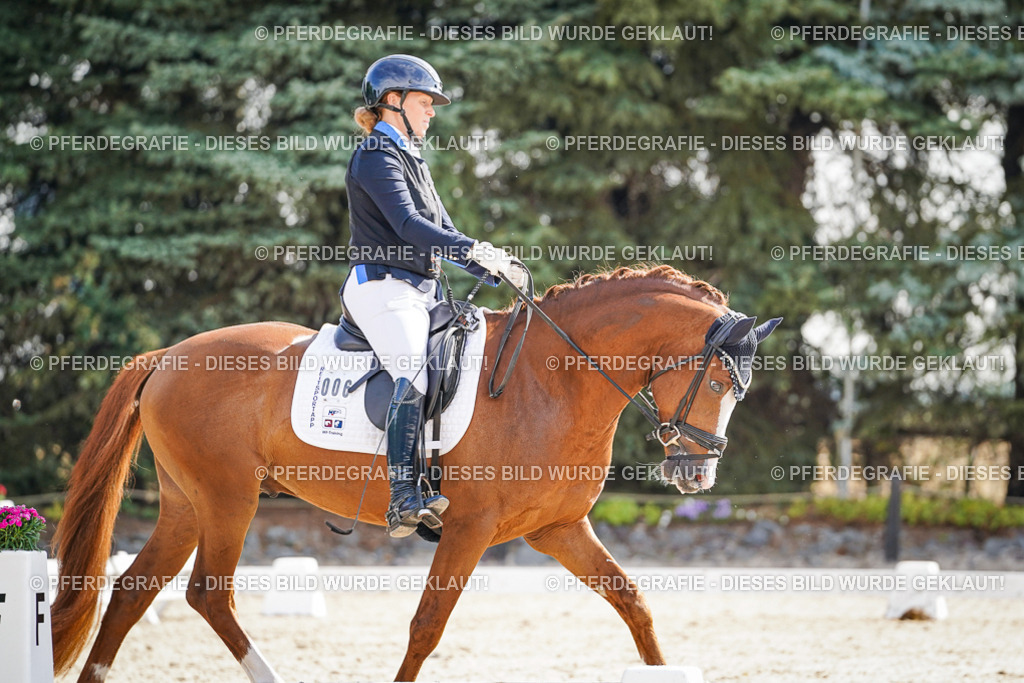 DSC06477 | Pferdegrafie