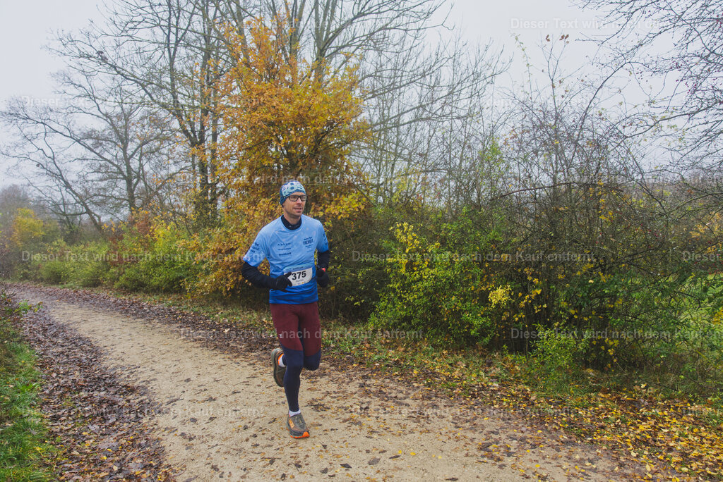 cineathletes-huegelland-2025-11-09-10-15-06 | Sportfotografie rund um Obstacle Course Racing und Trail Run - Realisiert mit Pictrs.com