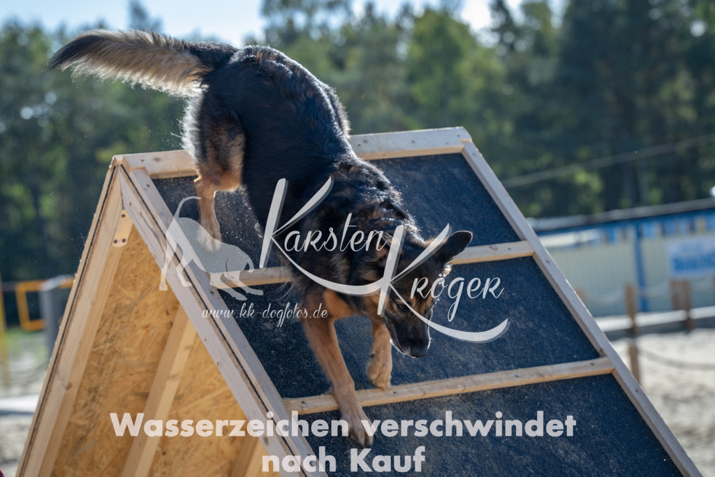 1154_ZZ92387-2 | kk-dogfotos