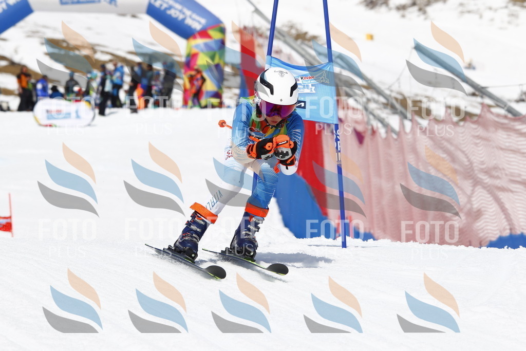 _U3G8178 | holidayphoto