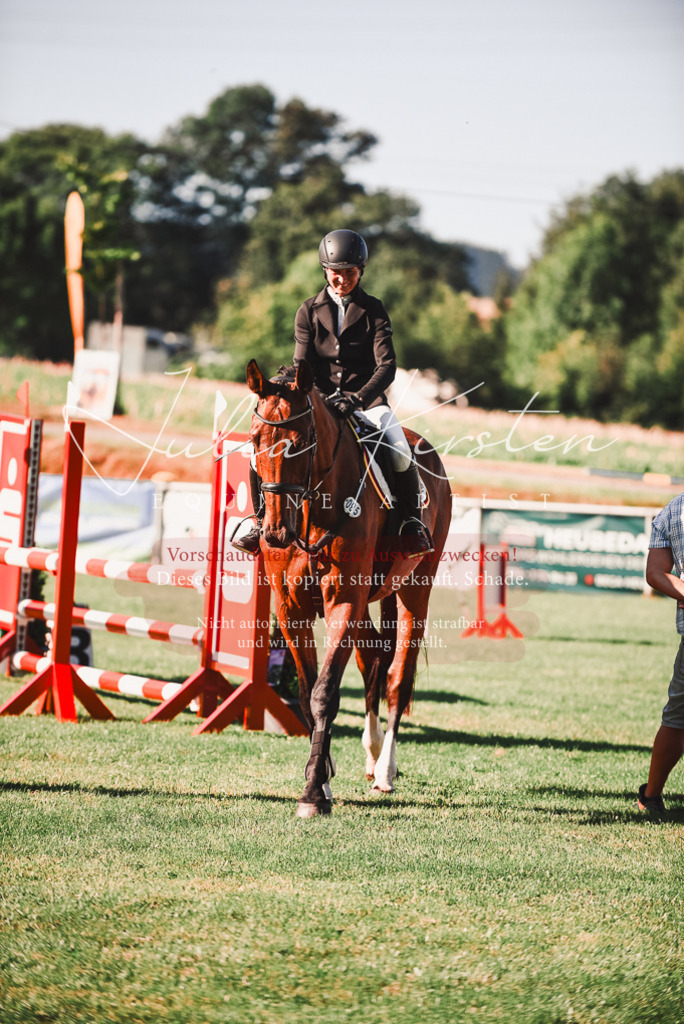 DSC_2235 | Pferde- und Turnierfotografie in Westsachsen. Pferdeportraits, Auftragszeichnungen und intuitive Kunst.