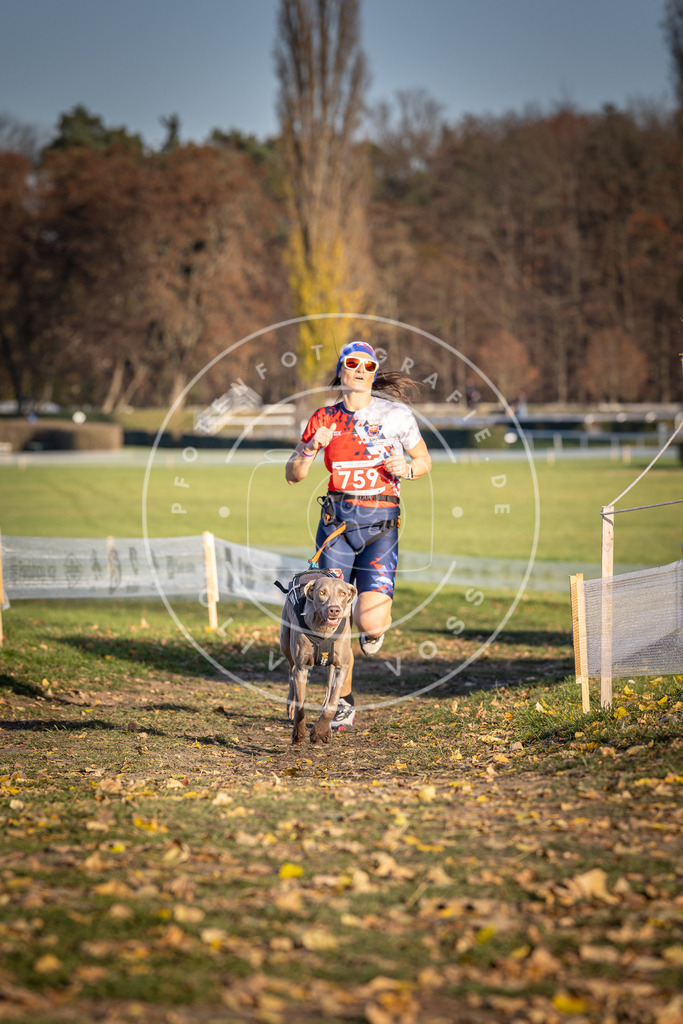 CaniXpix_DV3A2599 | Hundefotografie, Tierfotograf, Pfotenfotografie, Fotoshooting Hund, Hunde Portrait, Hundesport, Hundeportraits, Heideshooting, Hunde, Sportfotograf, Hundefotograf, Turnierhundsport, THS,  - Realisiert mit Pictrs.com