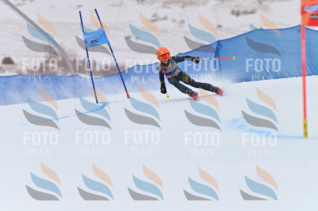 BGV_0738 | holidayphoto