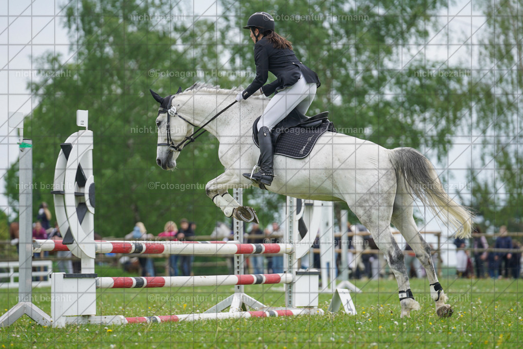 20240509-FAH02636 | Turnierbilder der Turnierfotografen Bayern, Pferdesport Fotografie, Reitsportbilder, Turnier Landberg am Lech, Turnierbilder bayern, Fotoagentur Herrmann