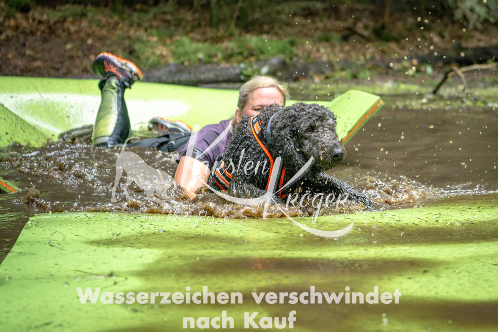 1537_ZZ91431-Bearbeitet | kk-dogfotos