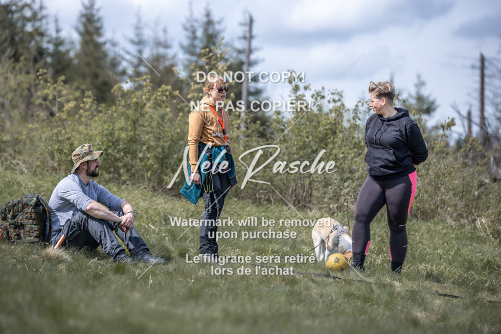 6Z1A1025 | nelerasche