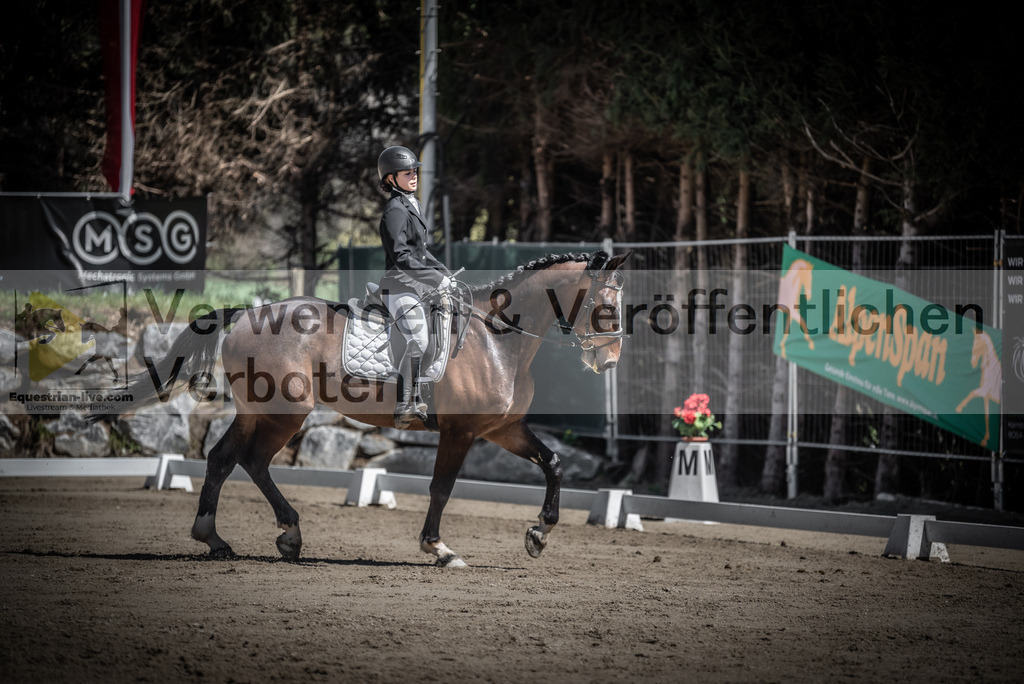 DSC_0330 | equestrian-live-com