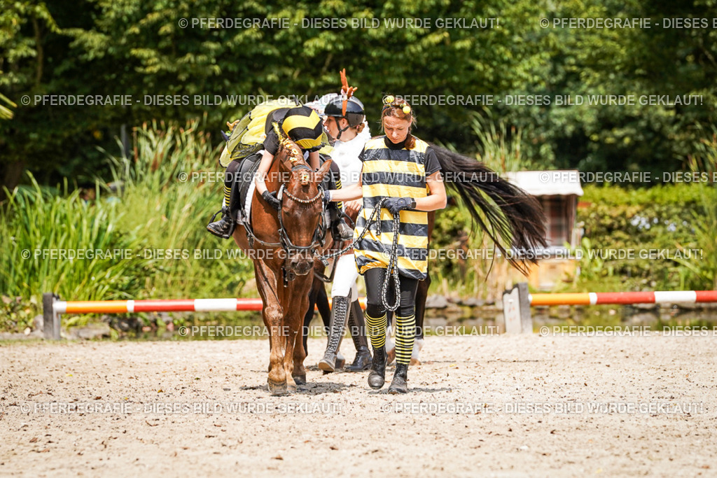 DSC03104 | Pferdegrafie