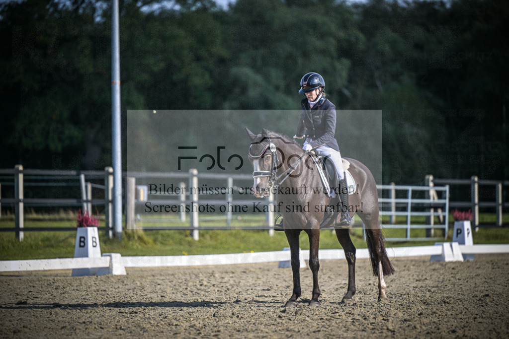 DOS_3344 | Entdecke hochwertige Reitturnierfotos von Foto Oger. Professionell, emotional und authentisch – jetzt Lieblingsmomente im Shop bestellen.Deutschlandweite Turnierfotografie. - Realisiert mit Pictrs.com