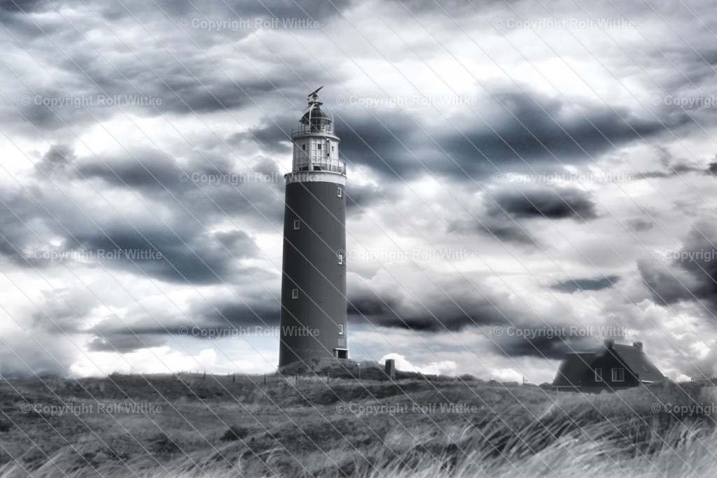 1D3A0175 | Rolf Wittke  - Realisiert mit Pictrs.com