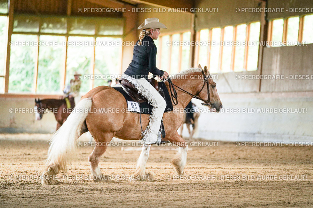 DSC05504 | Pferdegrafie