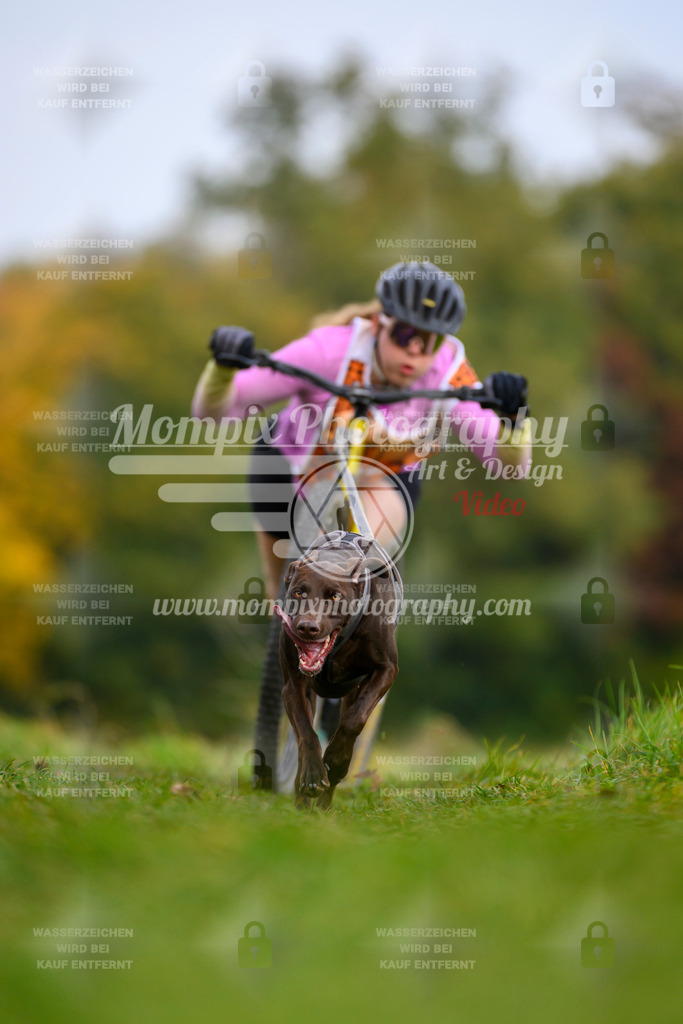 MompixPhotography_CDLBDB2025_DI_DS-65 | PayLife
