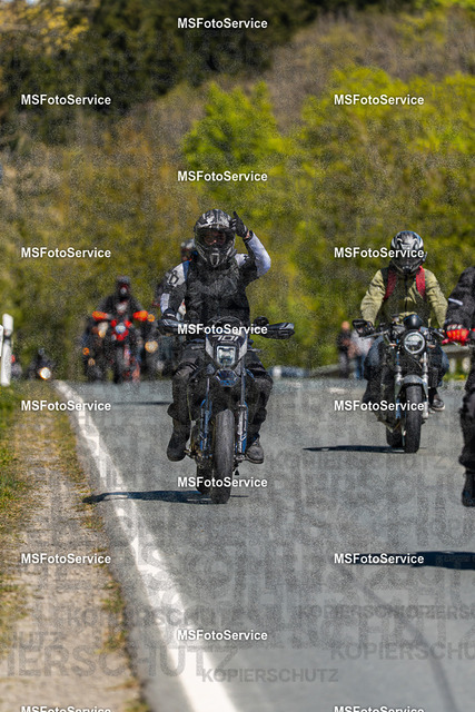 MSFotoServiceXXX117 | MSFotoService - Realisiert mit Pictrs.com