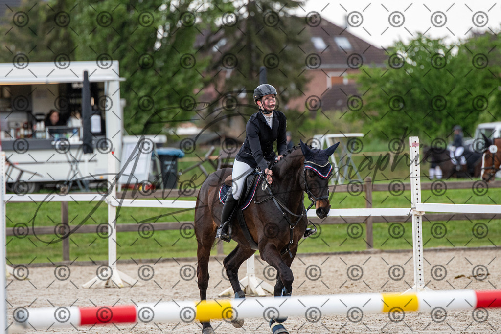 KPT_7637 | andre_photographic