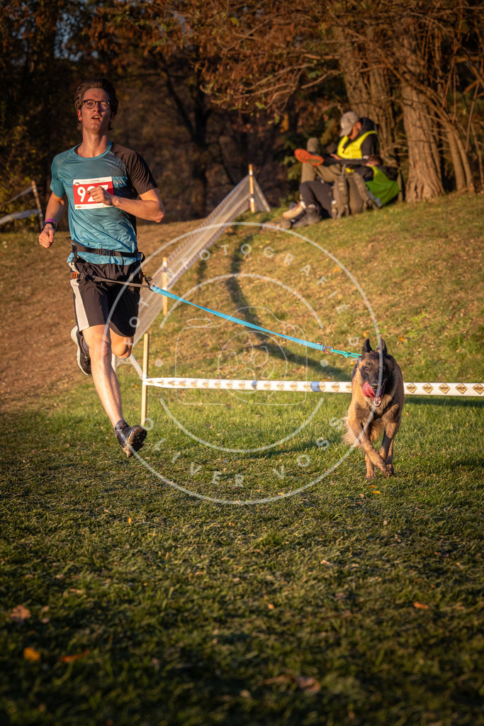 CaniXpix_0L8A1694 | Hundefotografie, Tierfotograf, Pfotenfotografie, Fotoshooting Hund, Hunde Portrait, Hundesport, Hundeportraits, Heideshooting, Hunde, Sportfotograf, Hundefotograf, Turnierhundsport, THS,  - Realisiert mit Pictrs.com