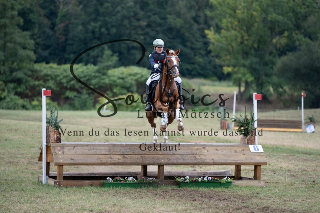 A7V00306 | Pferdefotograf