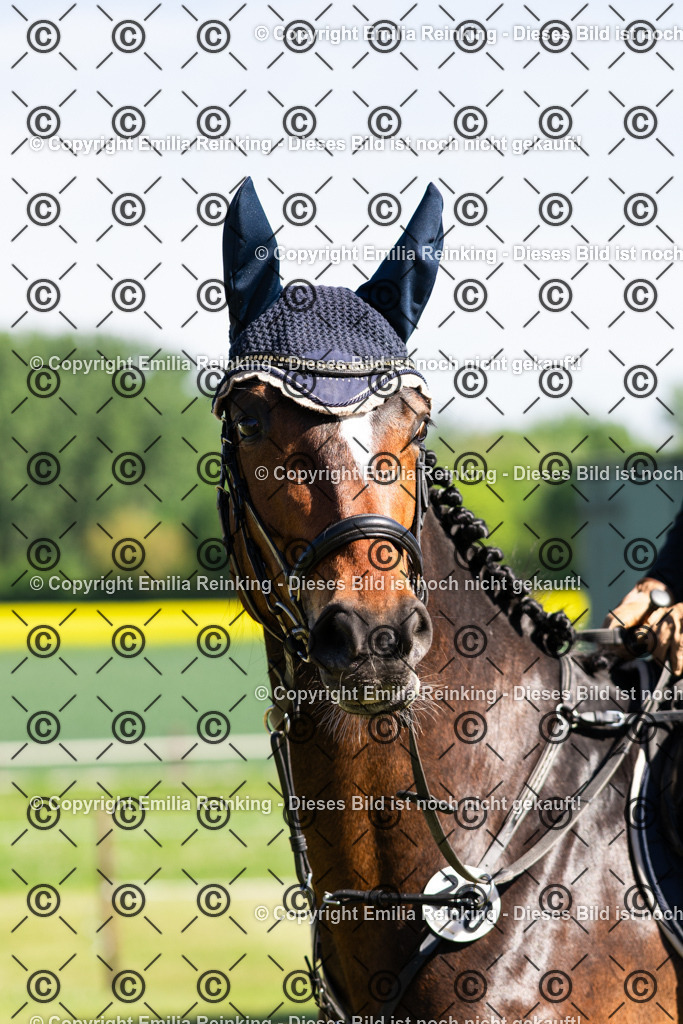 CL5A8143 | Emilia Reinking Fotografie - Realisiert mit Pictrs.com