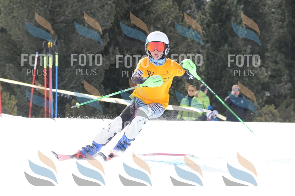 C7511 | holidayphoto