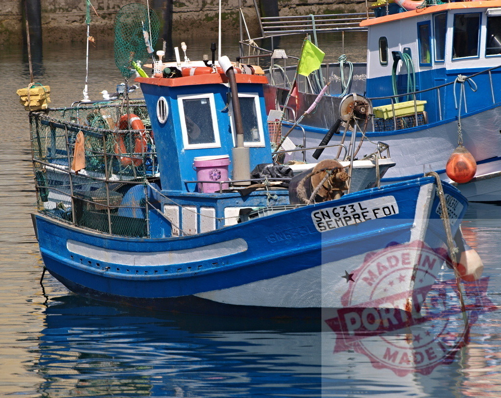 Fishing boat in harbor reflecting on calm water | Blue and white fishing boat with nets moored in a harbor - Realized with Pictrs.com