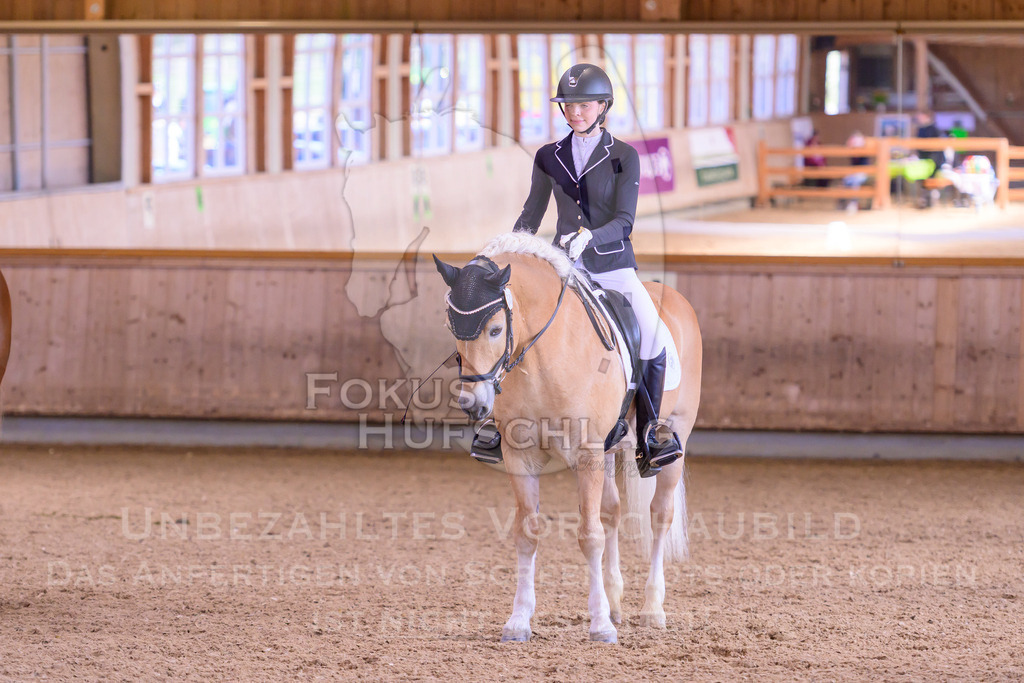 11042026-Mammendorf-Prfg27-0681 | Fokus Hufschlag Fotografie - Realisiert mit Pictrs.com