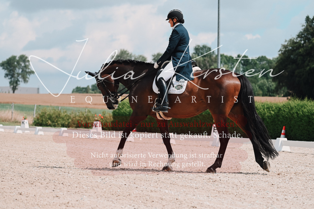 DSC_3855 | Pferde- und Turnierfotografie in Westsachsen. Pferdeportraits, Auftragszeichnungen und intuitive Kunst.