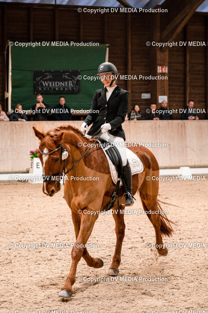 Dressur Tag 1 -367 | dv-media-shop - Realisiert mit Pictrs.com
