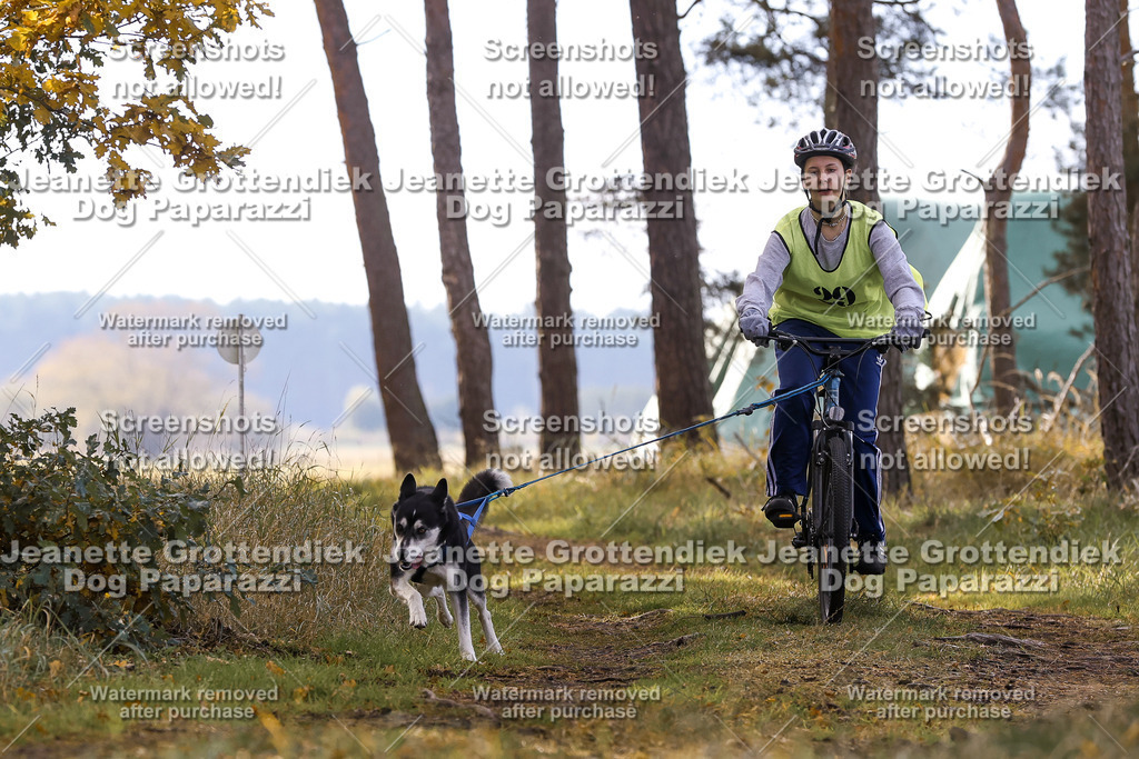 Dog Paparazzi - Elsholz 25 -162 | Dog Paparazzi Jeanette Grottendiek Fotografie & Videografie - Realisiert mit Pictrs.com