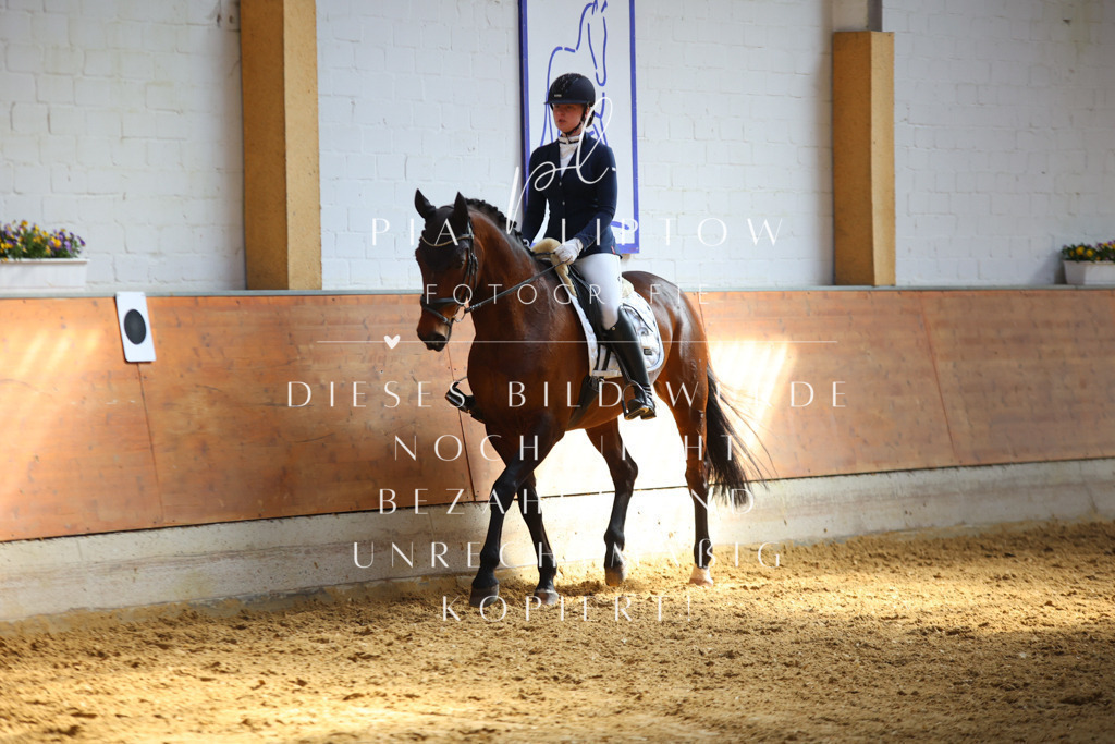 IMGT7169 | pl-fotografie