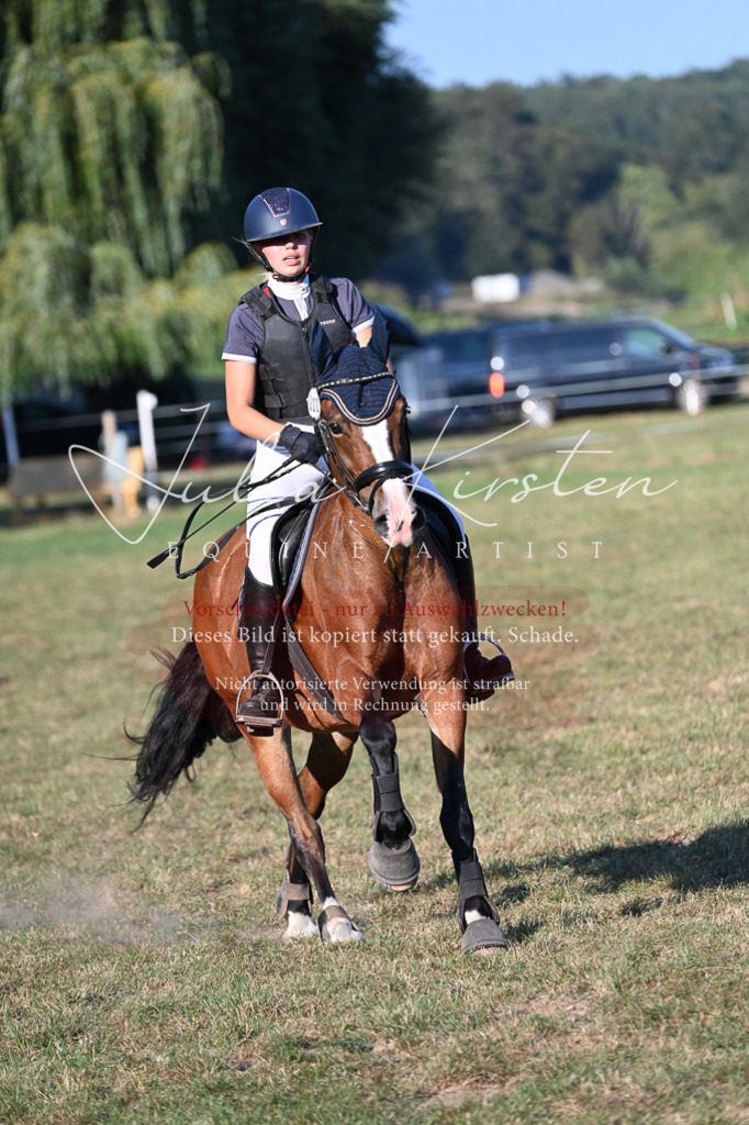 DSC_9099 | Pferde- und Turnierfotografie in Westsachsen. Pferdeportraits, Auftragszeichnungen und intuitive Kunst.