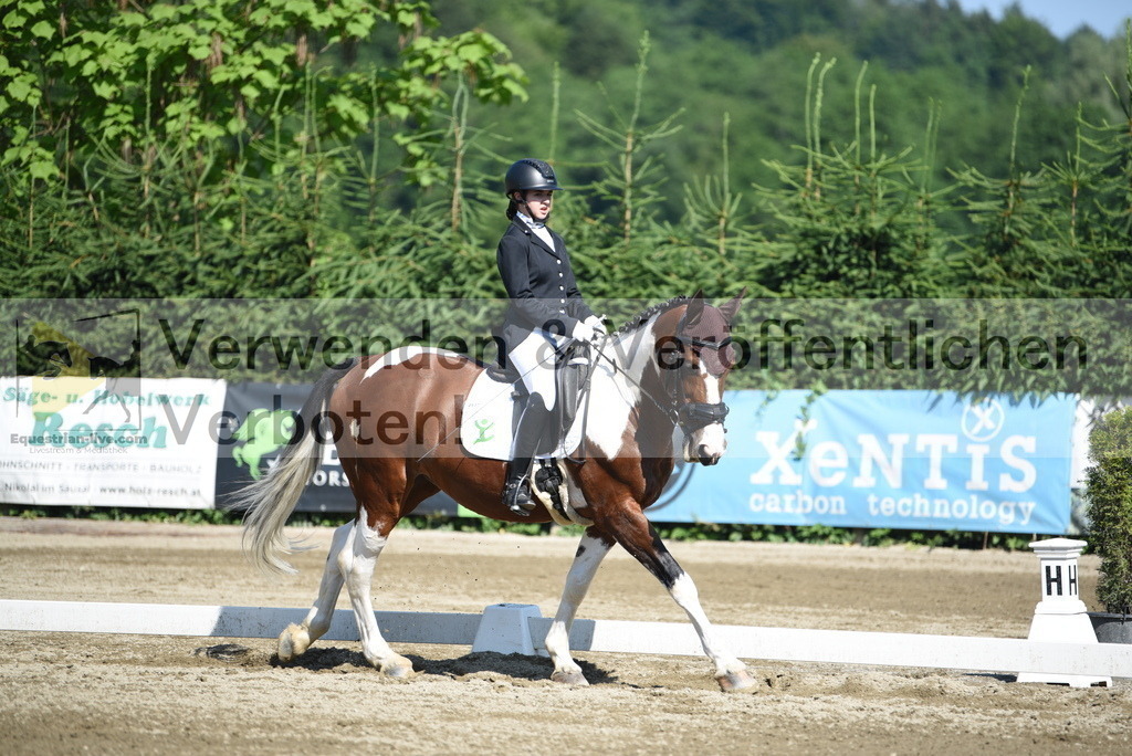 DSC_7715 | equestrian-live-com
