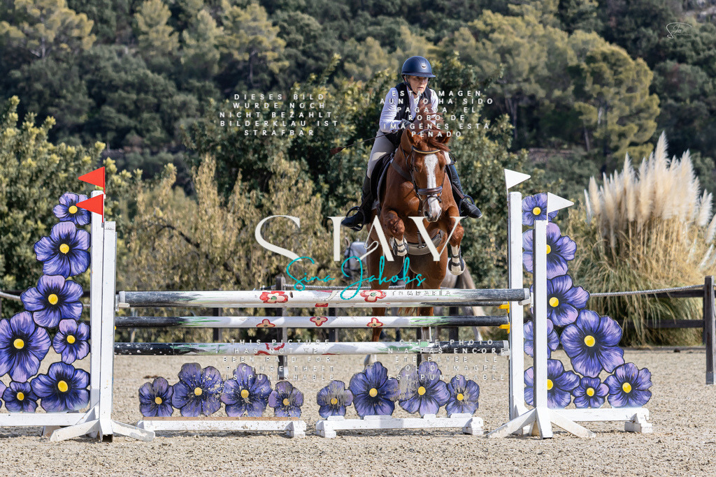 IMG_0558 | s-jay-photography - Realisiert mit Pictrs.com