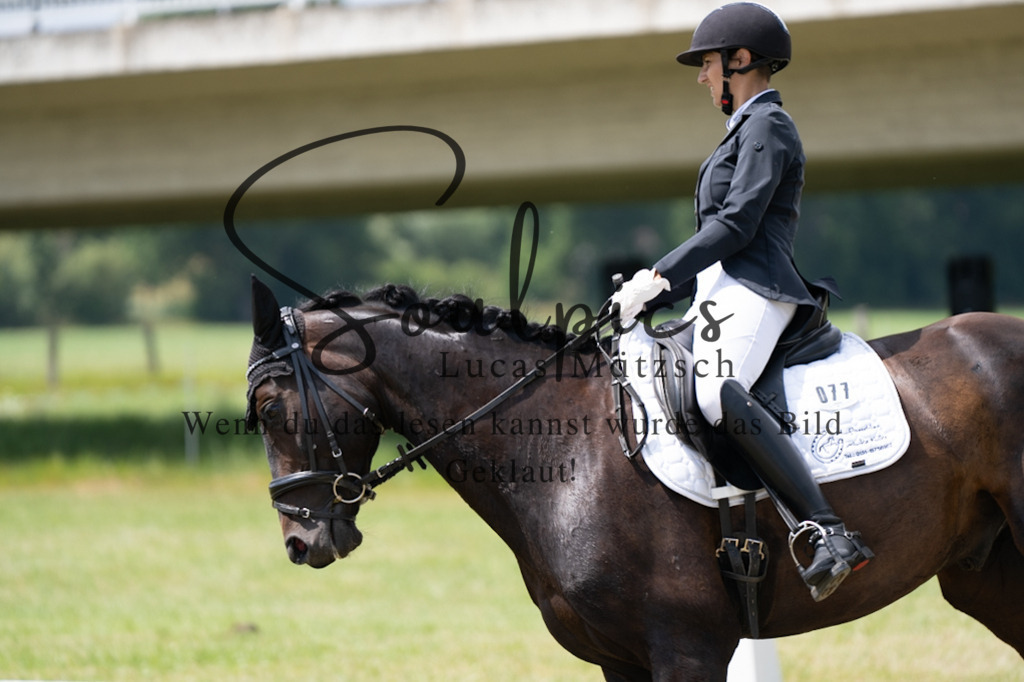 A7V00074 | Pferdefotograf