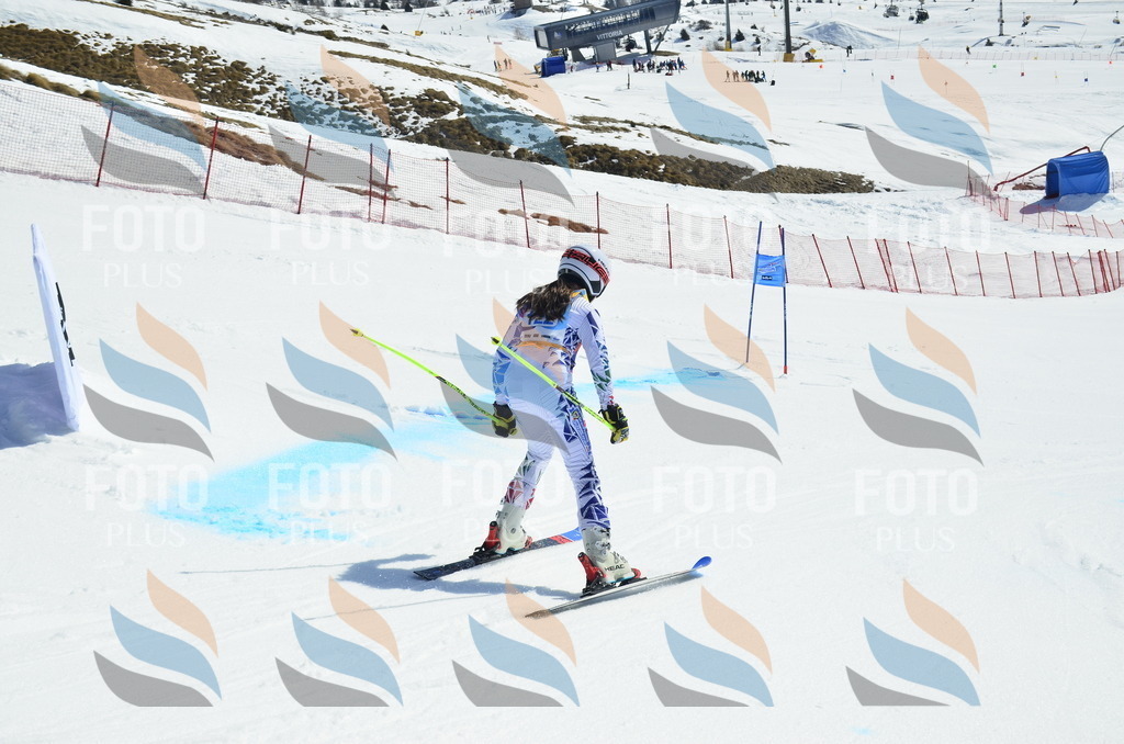 _ELE0753 | holidayphoto