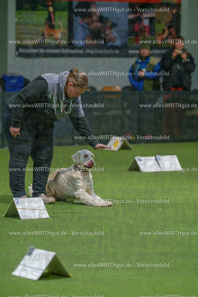 7R507487 | Professionelle Tierfotografie in Mönchengladbach von Daniel Wirth (allesWIRTHgut). Liebevolle & natürliche Bilder von Hunden & Katzen für unvergessliche Erinnerungen.