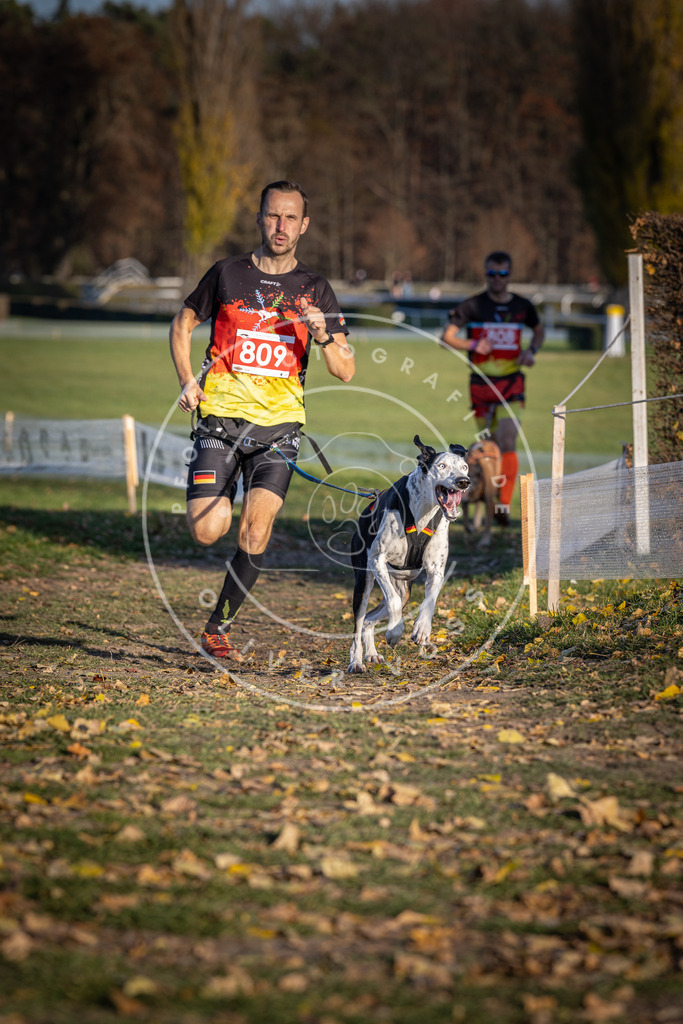CaniXpix_DV3A2986 | Hundefotografie, Tierfotograf, Pfotenfotografie, Fotoshooting Hund, Hunde Portrait, Hundesport, Hundeportraits, Heideshooting, Hunde, Sportfotograf, Hundefotograf, Turnierhundsport, THS,  - Realisiert mit Pictrs.com