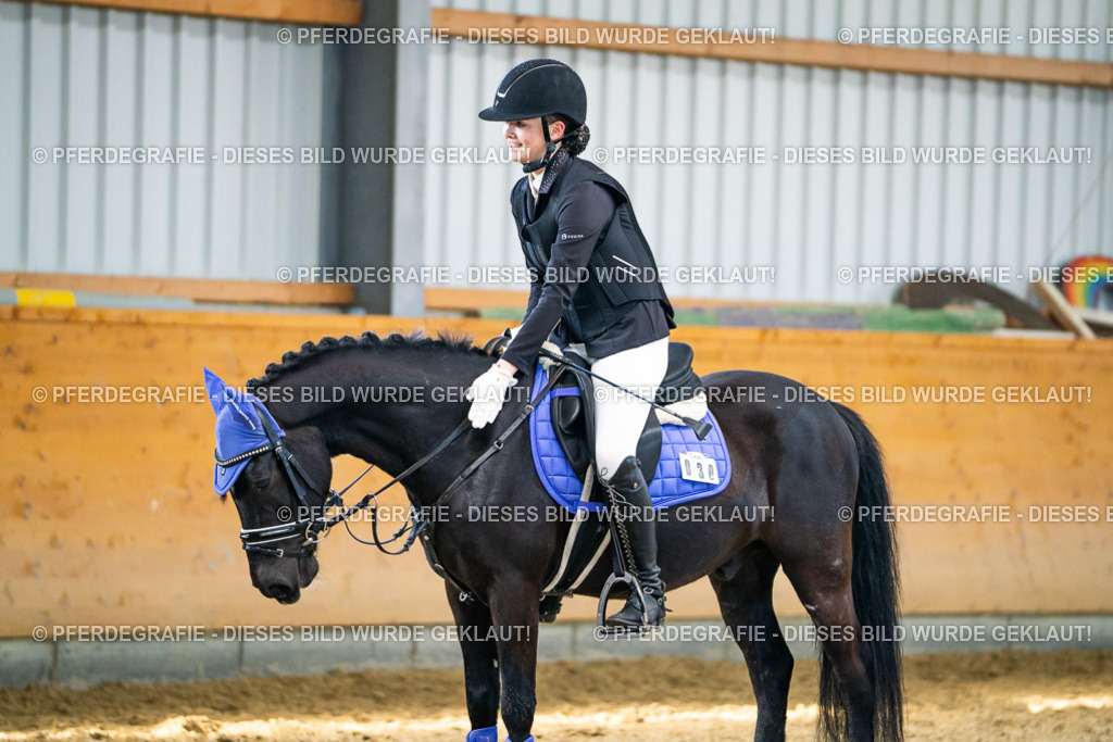 DSC01245 | Pferdegrafie