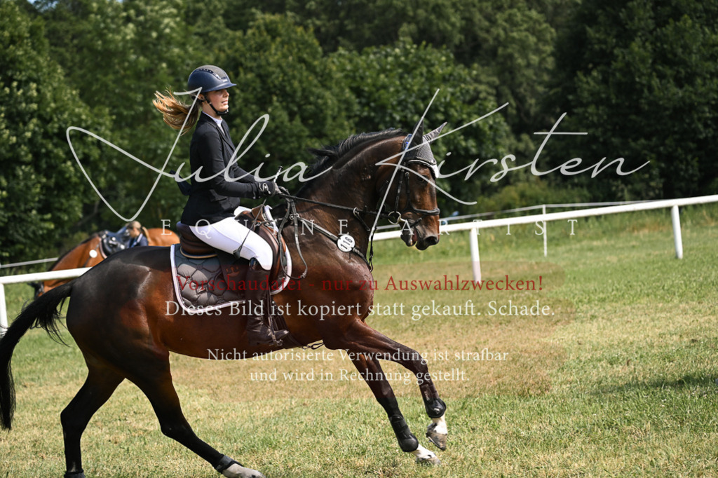 DSC_0518 | Pferde- und Turnierfotografie in Westsachsen. Pferdeportraits, Auftragszeichnungen und intuitive Kunst.